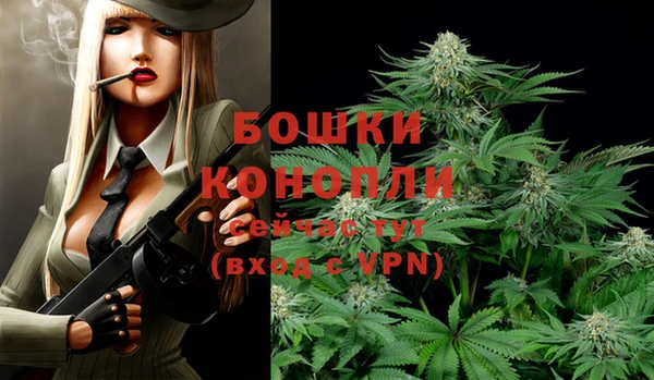 ECSTASY Вязьма