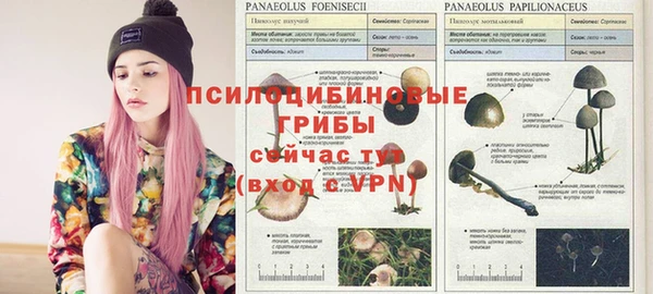 mix Вяземский